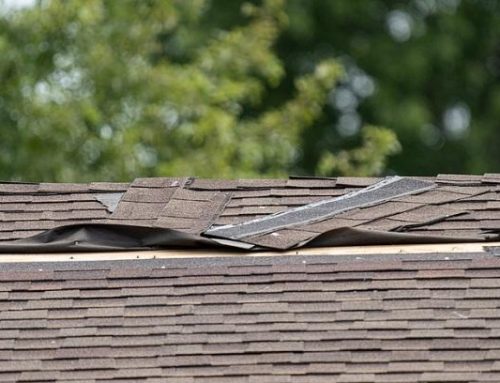 Questions to Consider When Wind Damages your Roof!